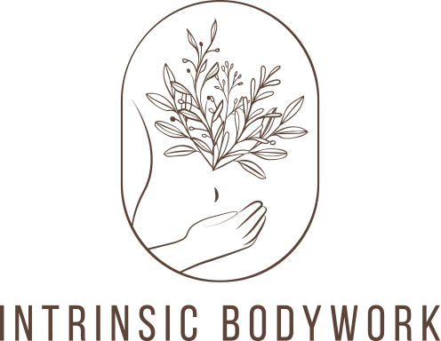 Intrinsic bodywork logo