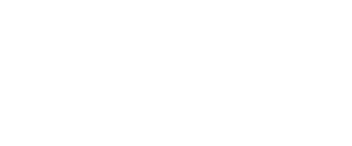The District at Manhattan Logo