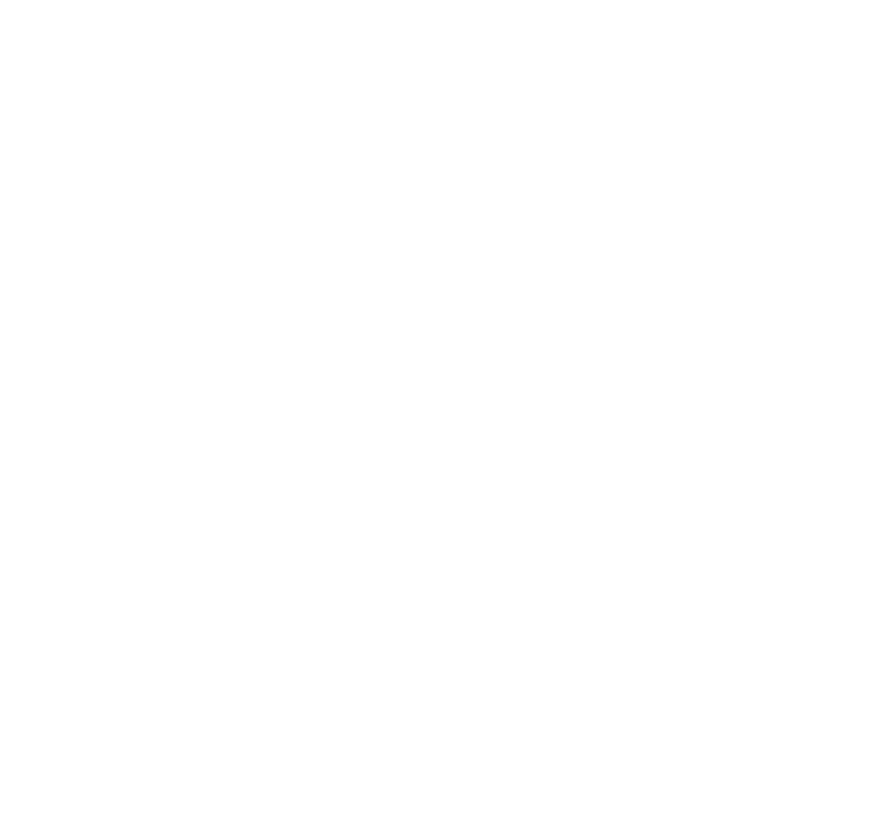 DSA Logo White