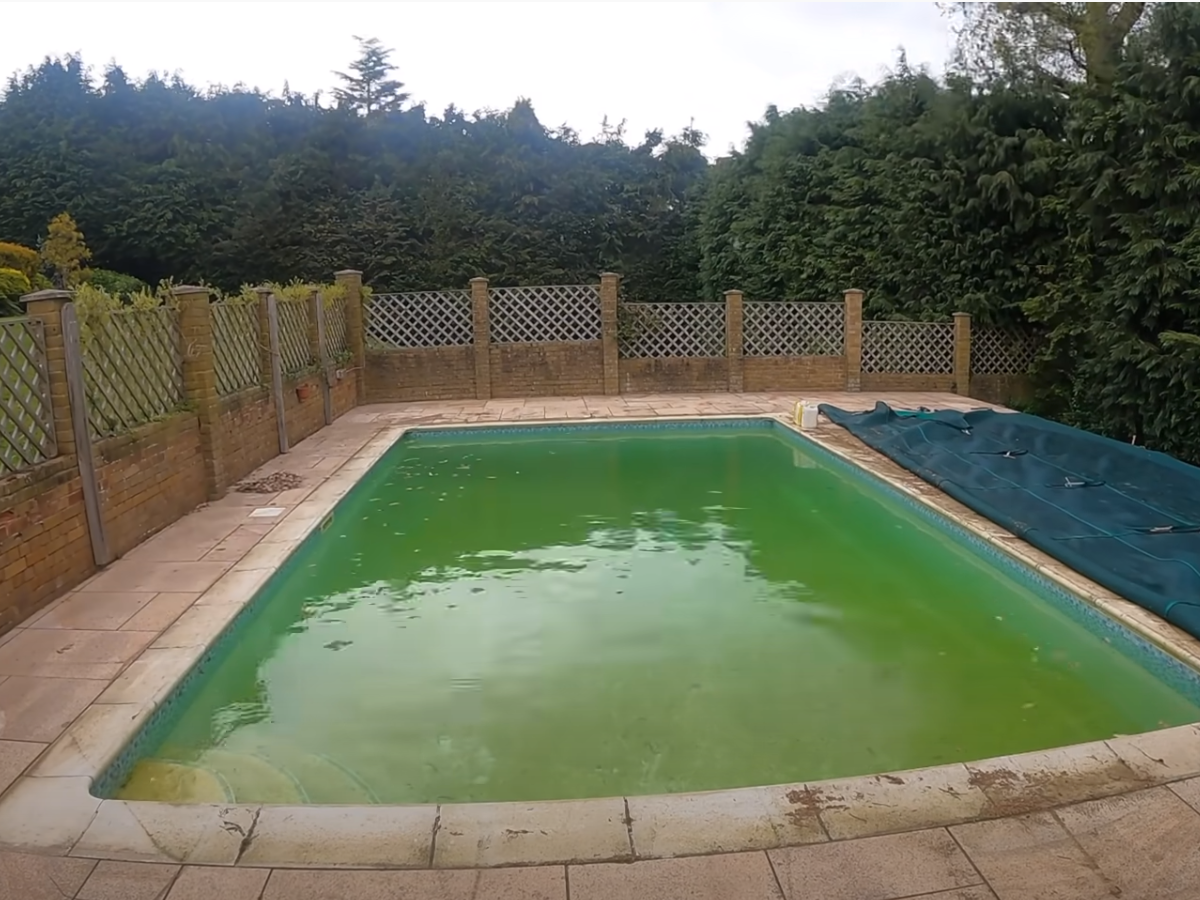 What Do Phosphates Look Like In A Pool?