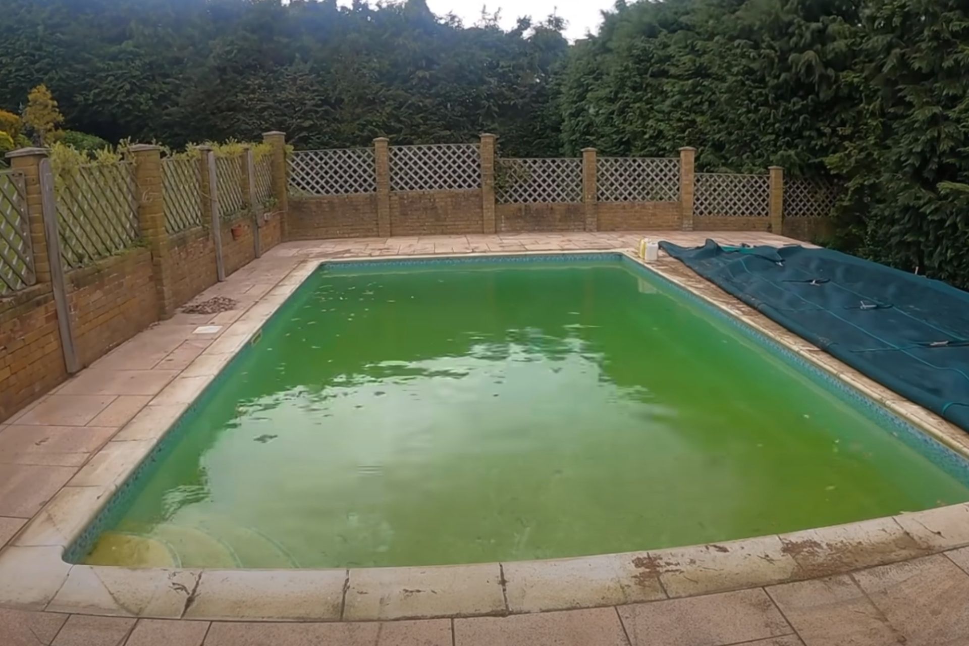 green pool cleanup in Gilbert