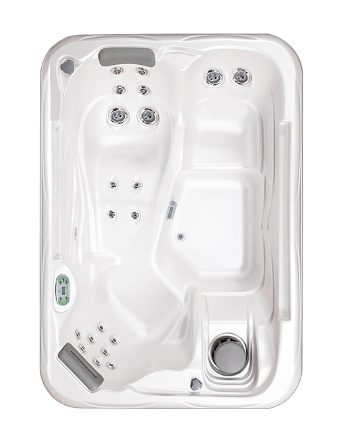 Model 519P