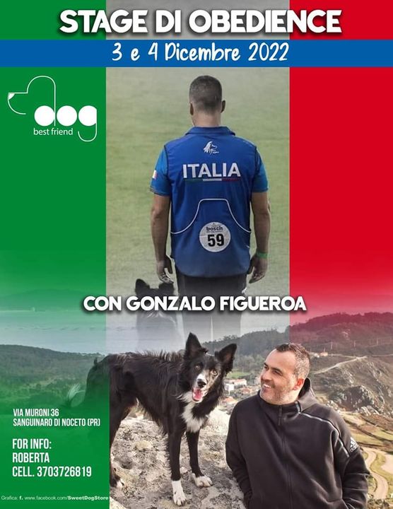 Corso di educazione cinofila