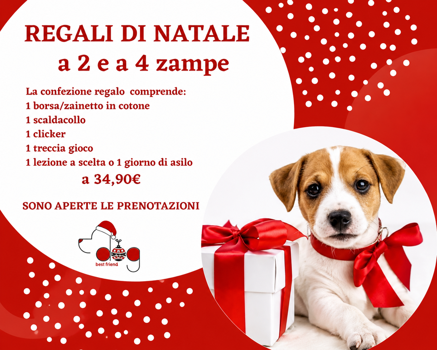 locandina regali di natale a 2 e 4 zampe