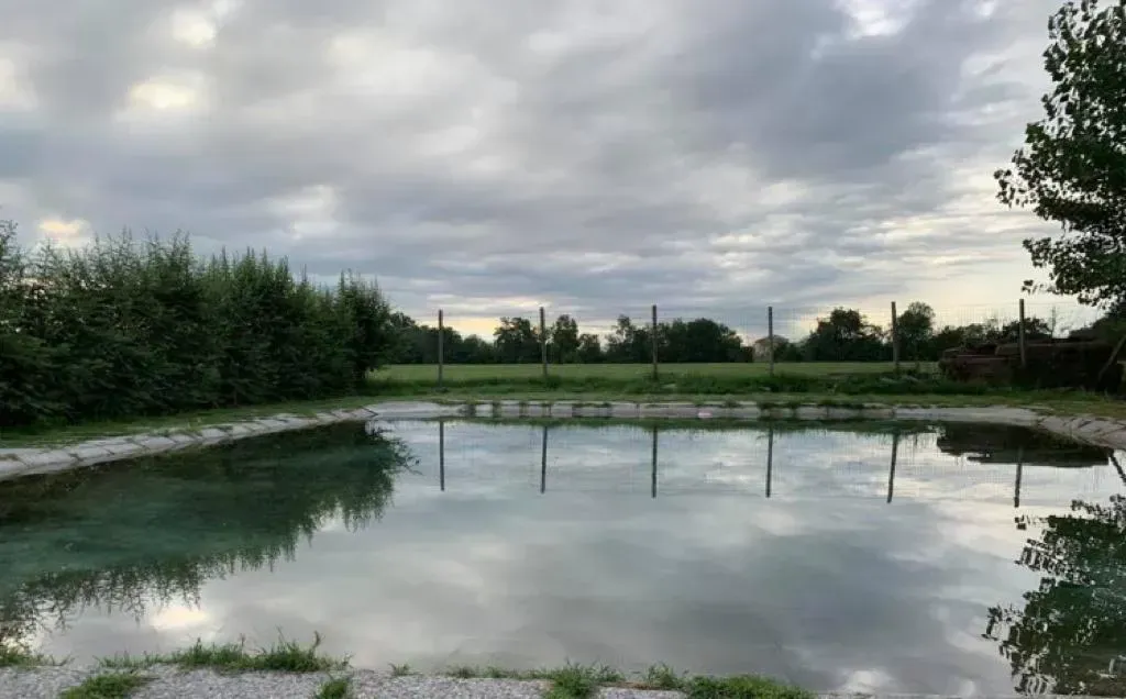 piscina di un centro per cani