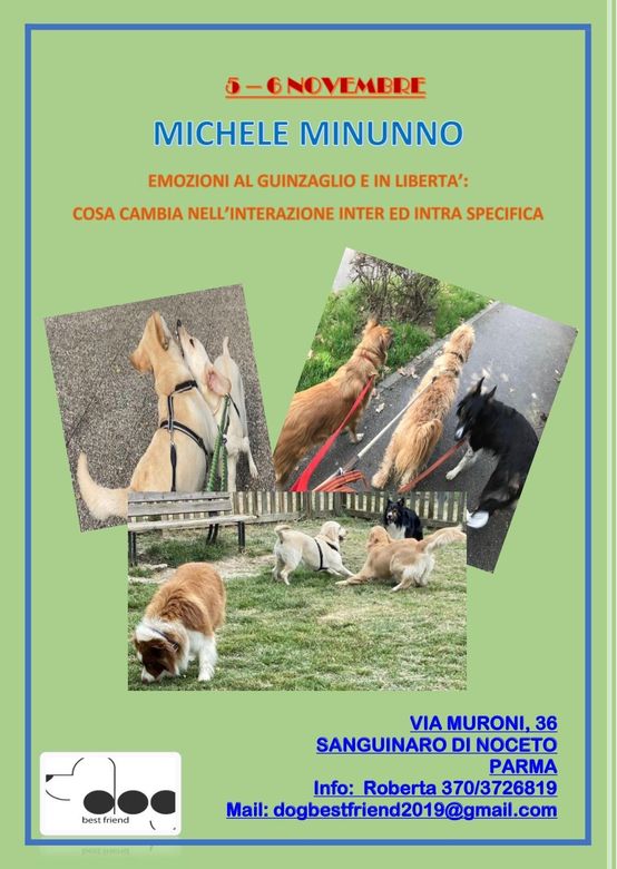 Corso di educazione cinofila