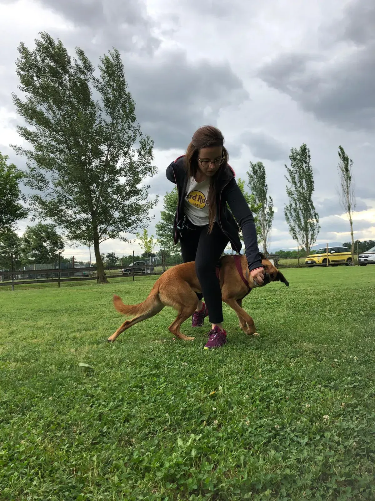 padrona insegna al suo cane dei comandi base