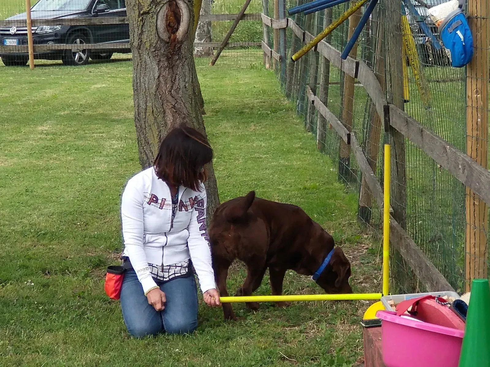 padrona e cane si divertono in un parco