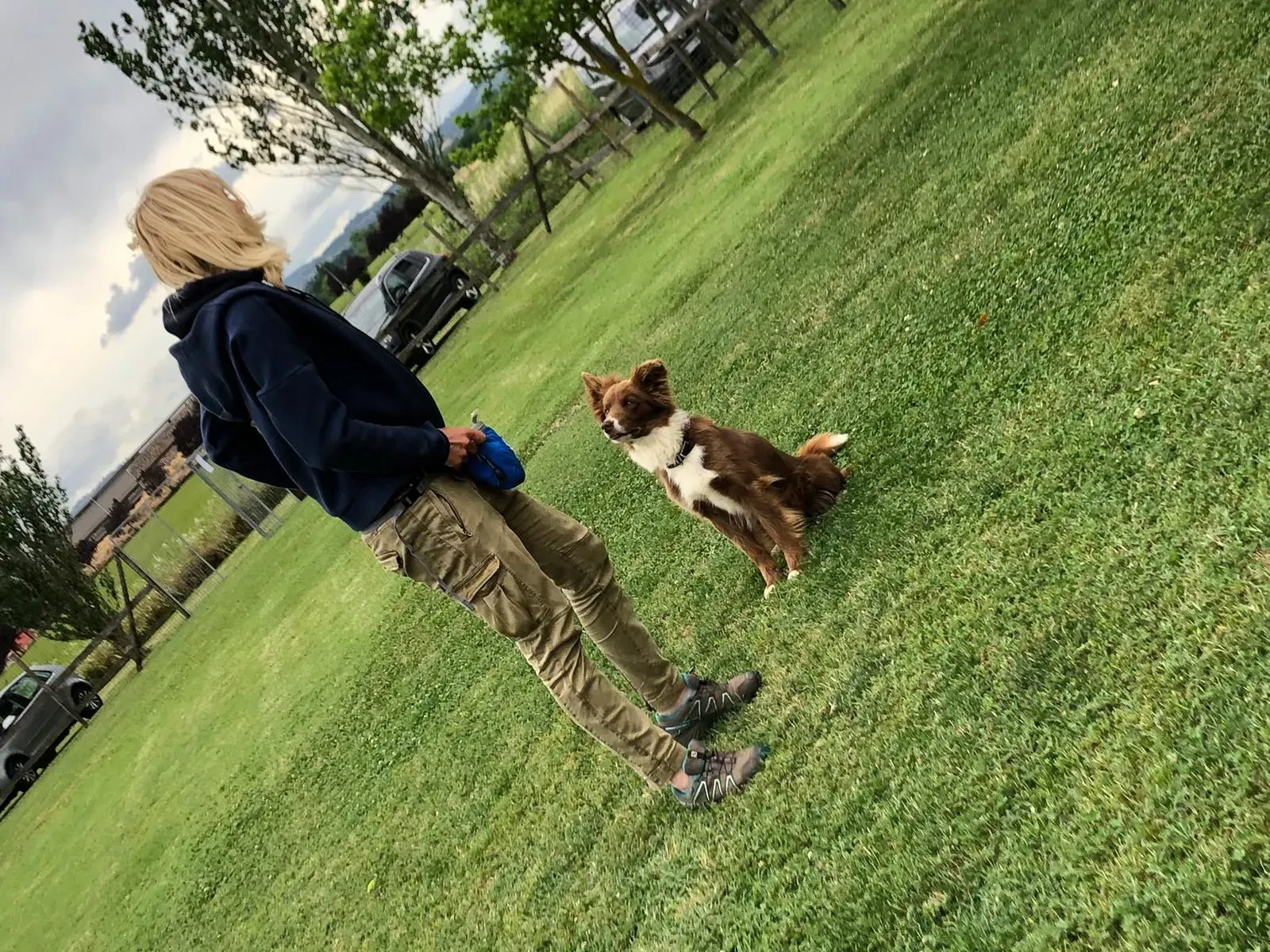 Addrestratrice e cane durante una sessione di allenamento