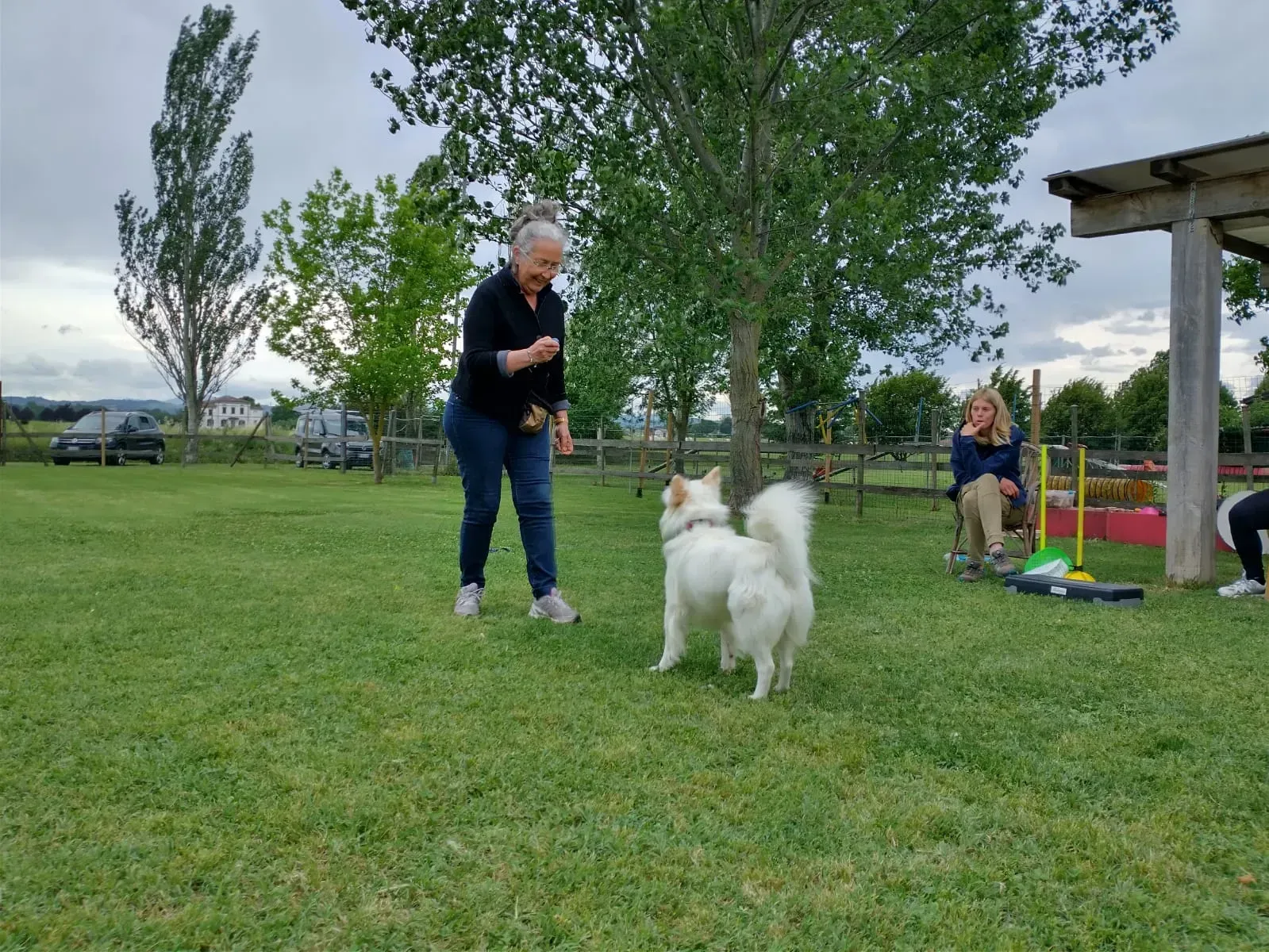donna gioca con un cane bianco in un parco