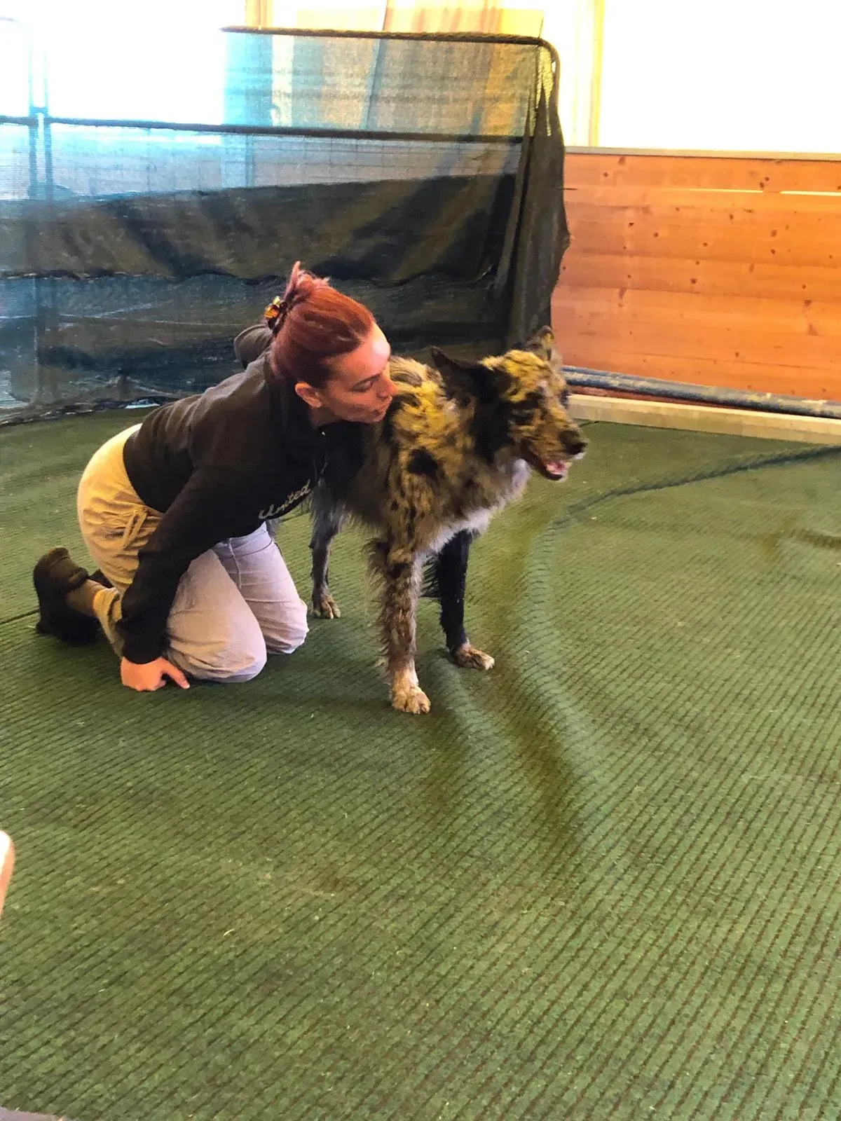 Addestratrice e cane durante un allenamento