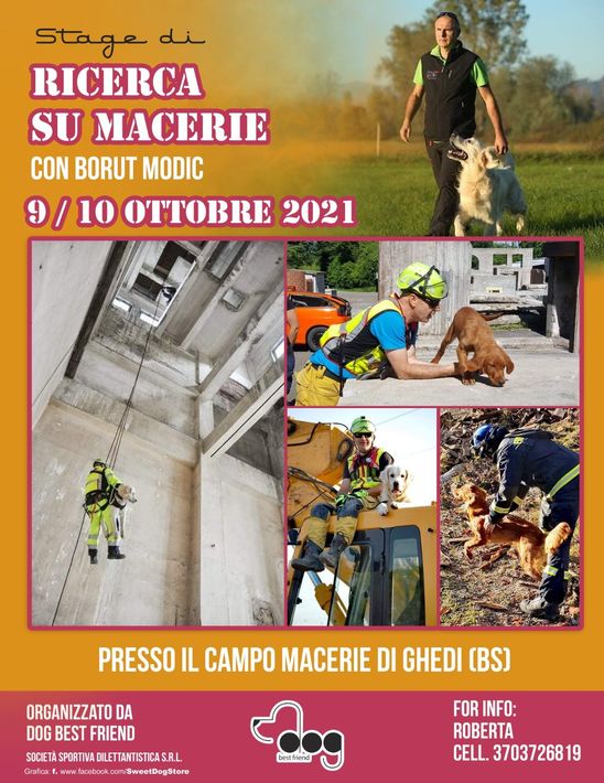 Corso di educazione cinofila