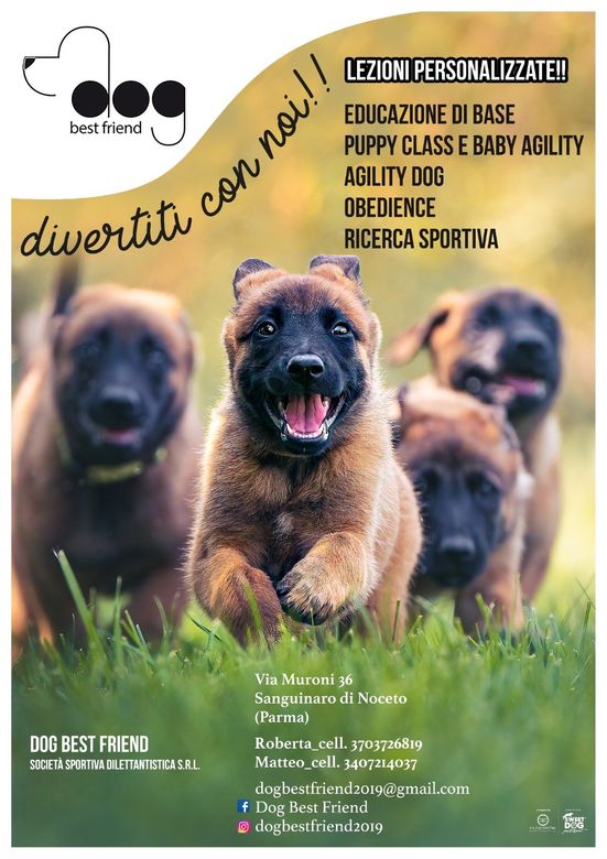 Corso di educazione cinofila