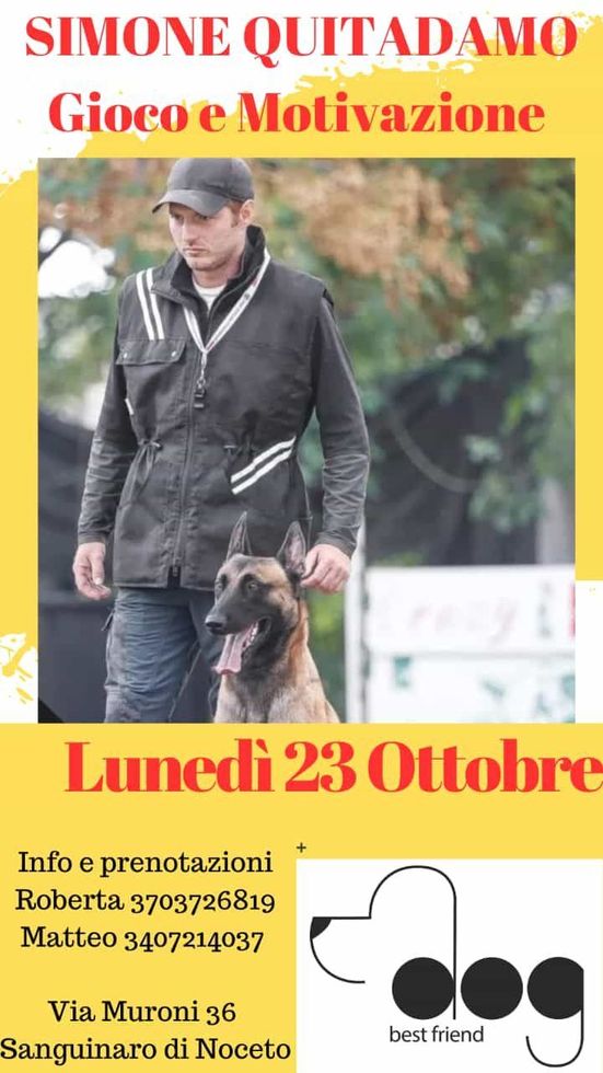 Corso di educazione cinofila