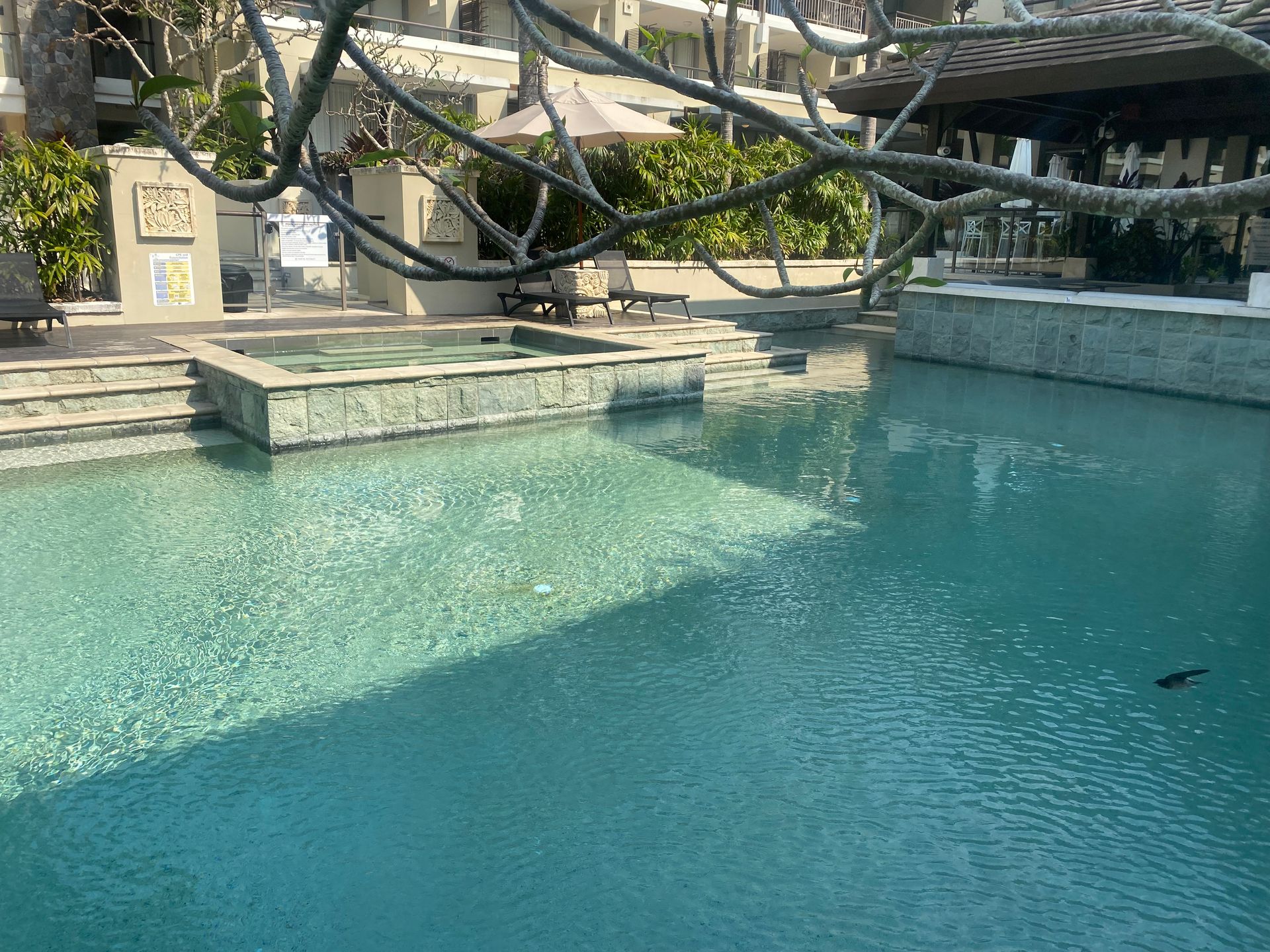 A Robotic Pool Cleaner With a Blue Cord Attached to It — Tweed Coast Pool Care in Tweed Heads, NSW