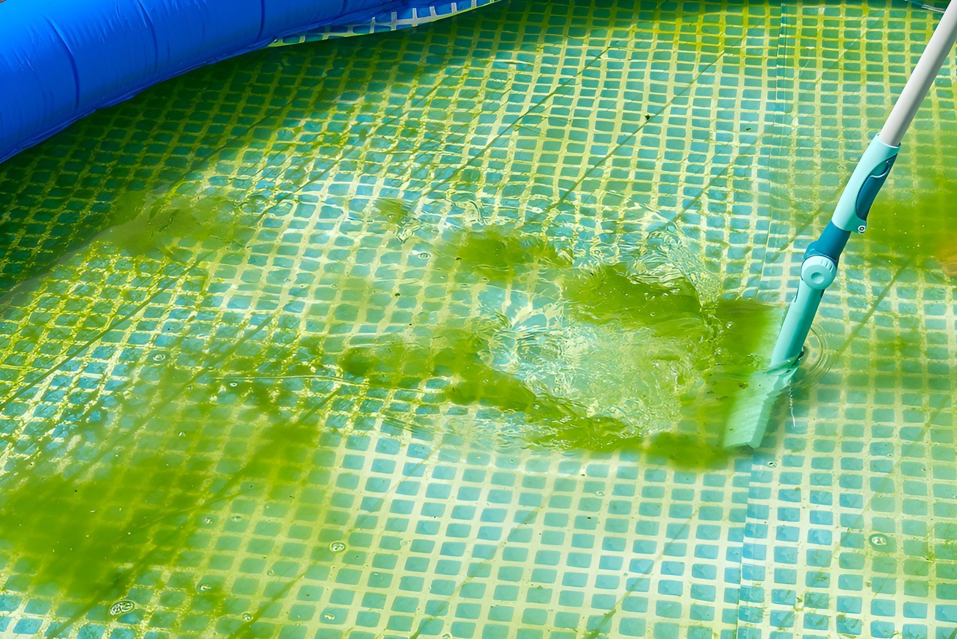 A Person Is Cleaning a Green Swimming Pool — Tweed Coast Pool Care in Burringbar, NSW