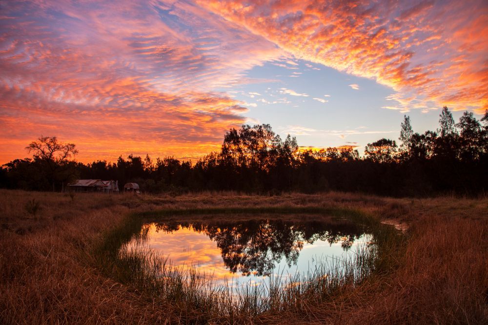 There Is A Small Pond In The Middle Of A Field At Sunset — CJ Electrical & Solar In Singleton, NSW