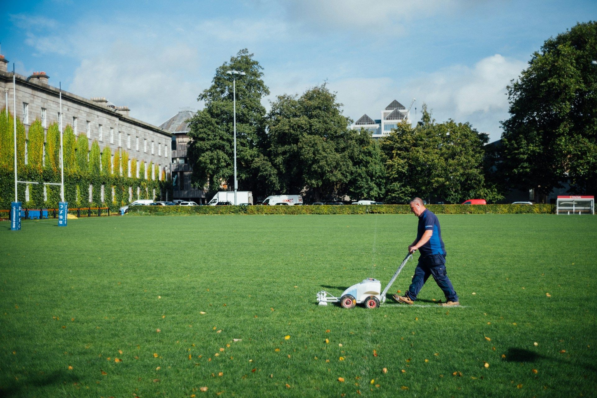 Commercial Lawn Maintenance