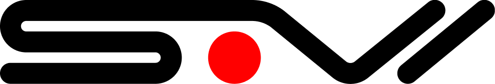 Safety Vision Logo