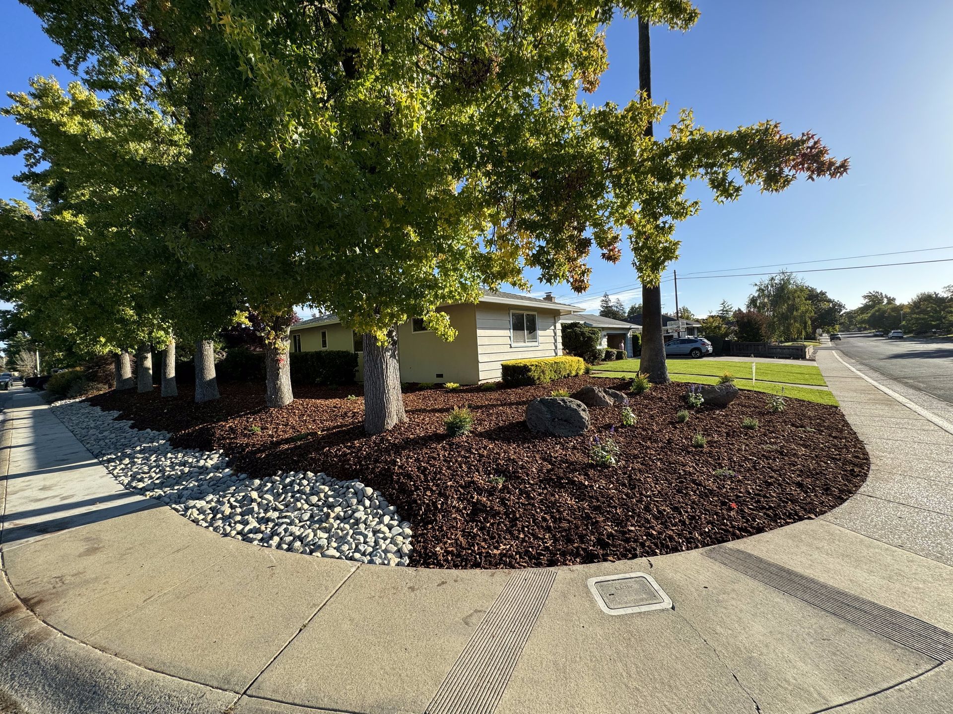A house is surrounded by trees and mulch on the side of the road