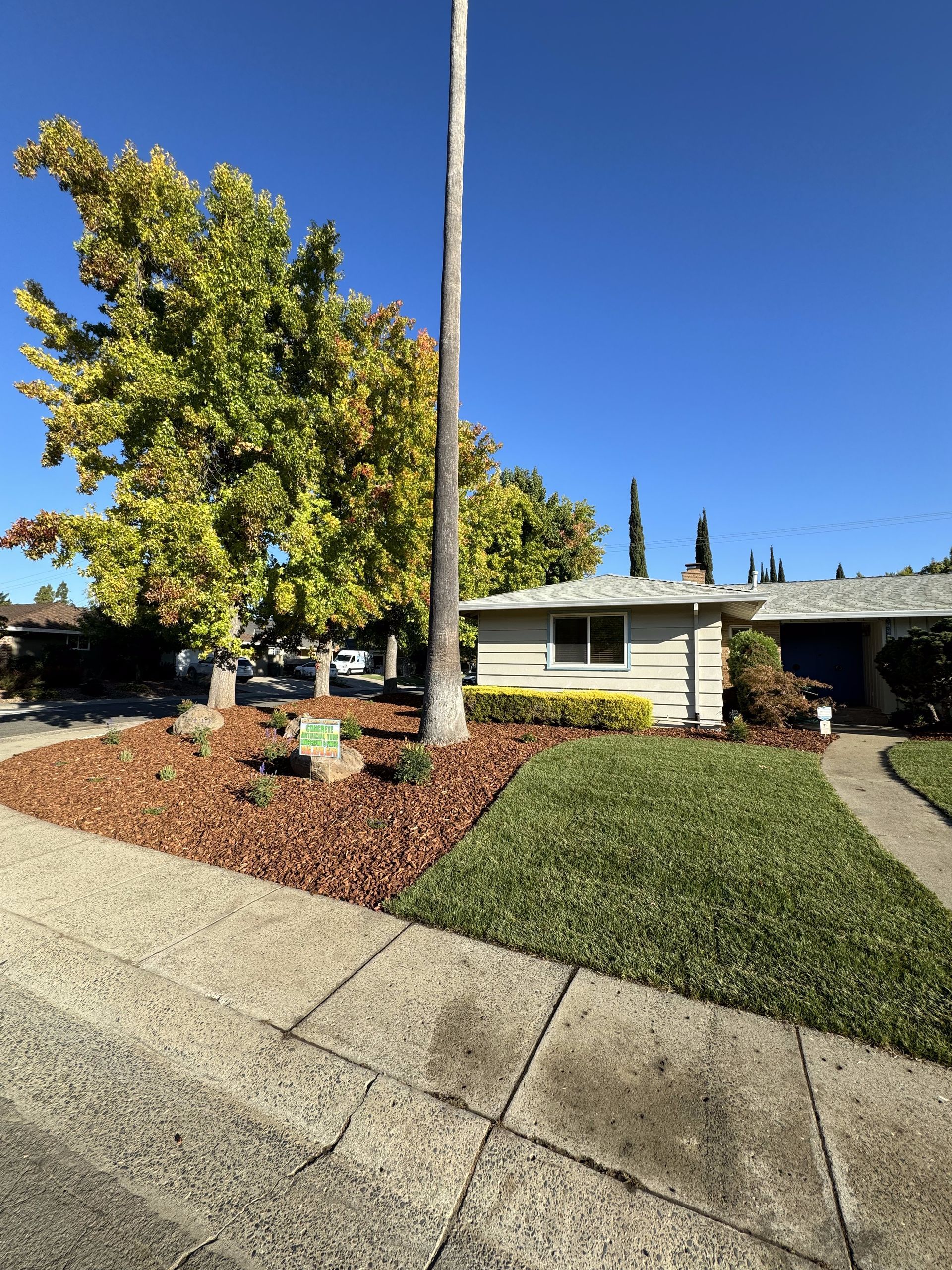 A house with a lush green lawn and trees in front of it