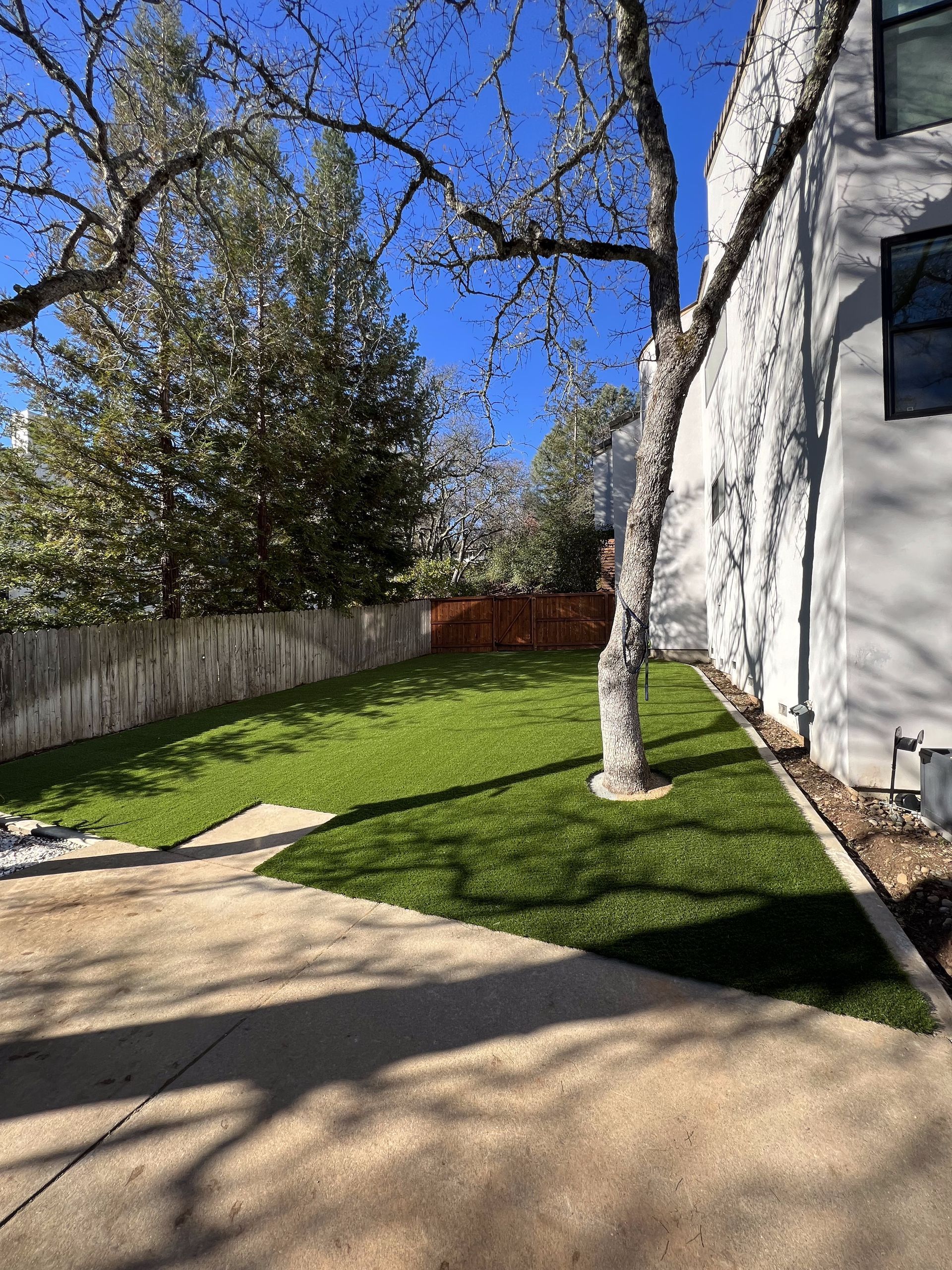 A backyard with a lush green lawn and a fence.