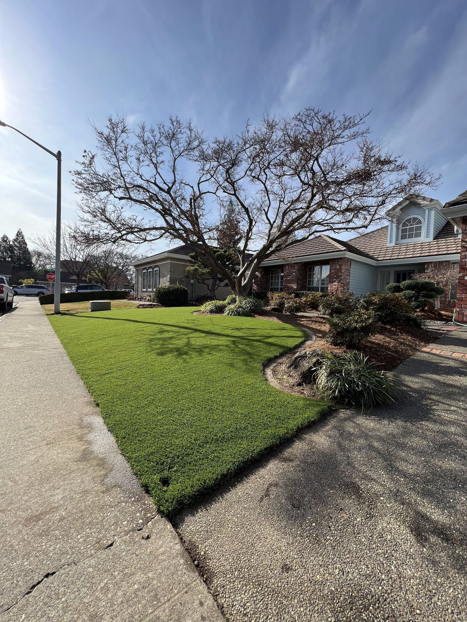 A house with a large tree in front of it and a lush green lawn.