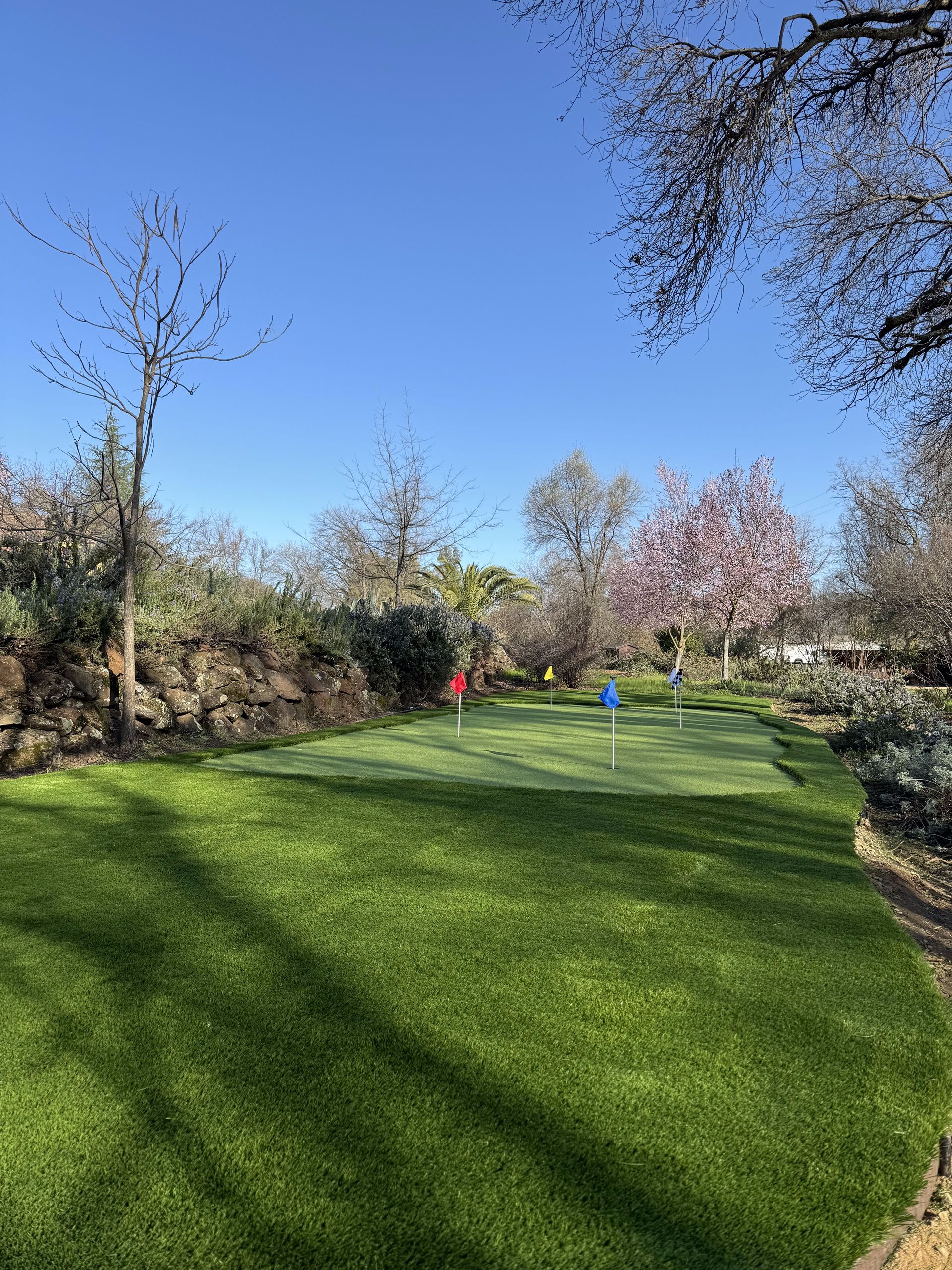 There is a putting green in the middle of a lush green field.