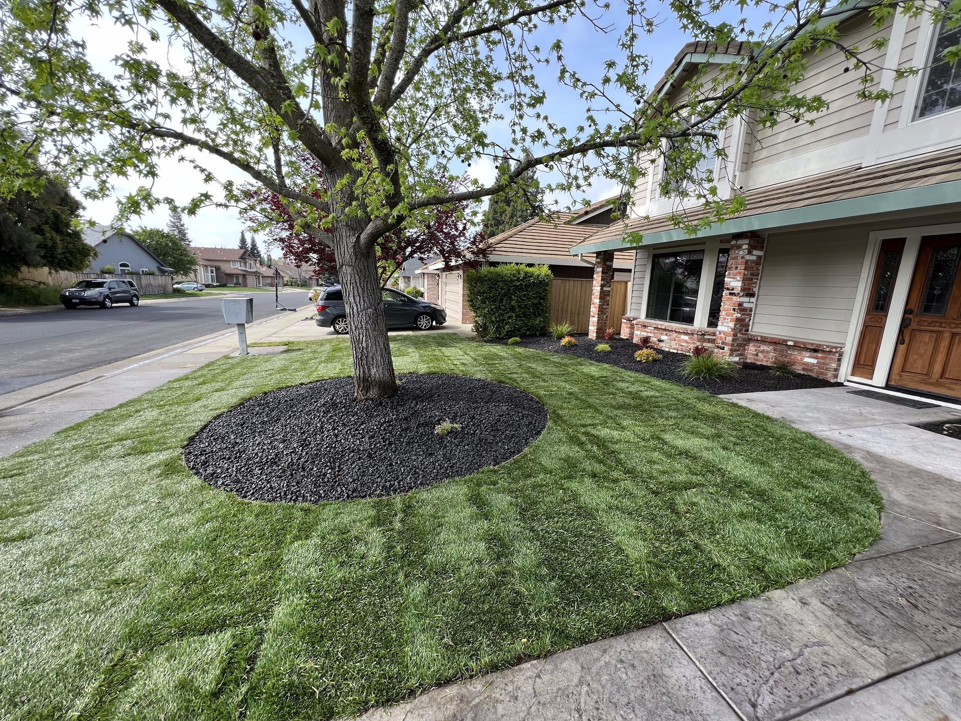 A lush green lawn in front of a house with a tree in the middle.