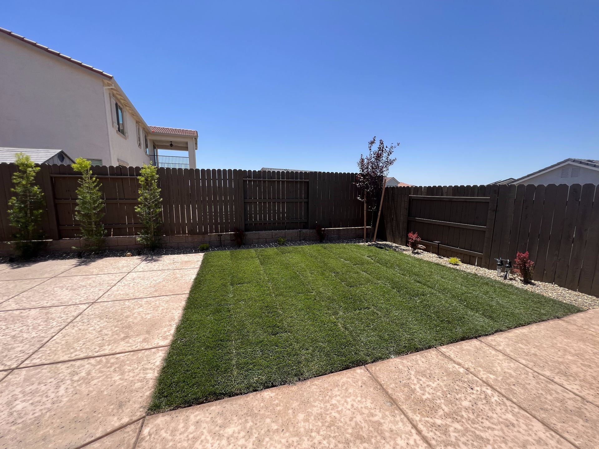 A backyard with a large lawn and a wooden fence.