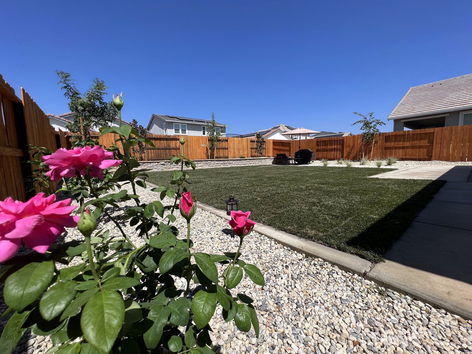 A garden with pink roses and gravel in front of a house.