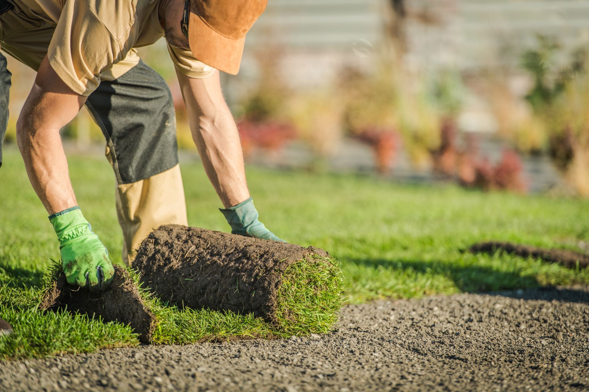 laying sod