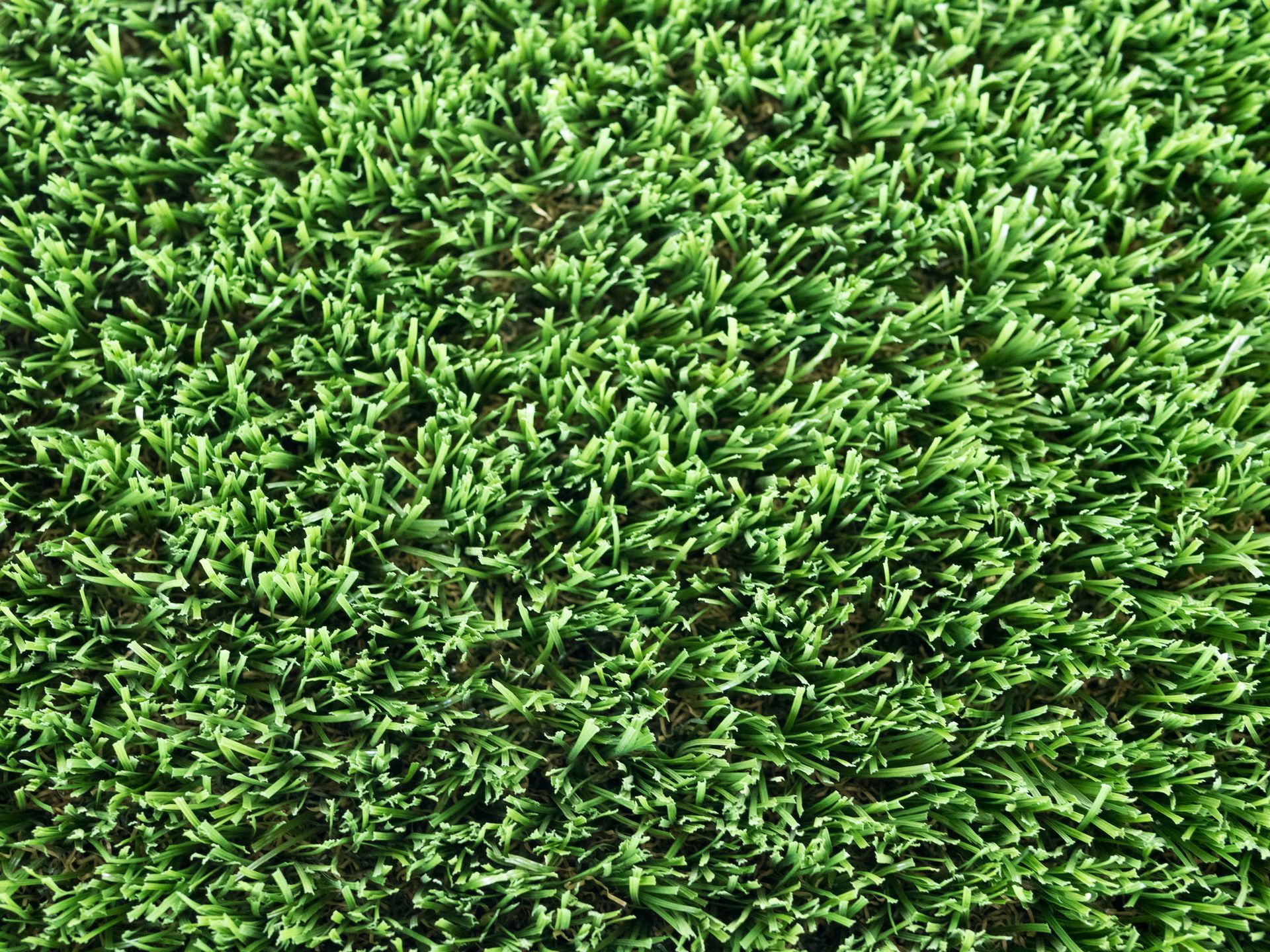 Landscaping Adelaide Products - Artificial Turf