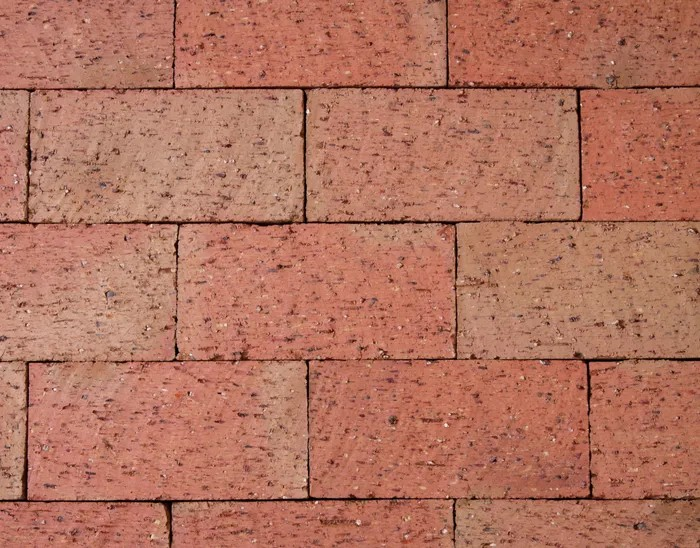 Original Adelaide Red