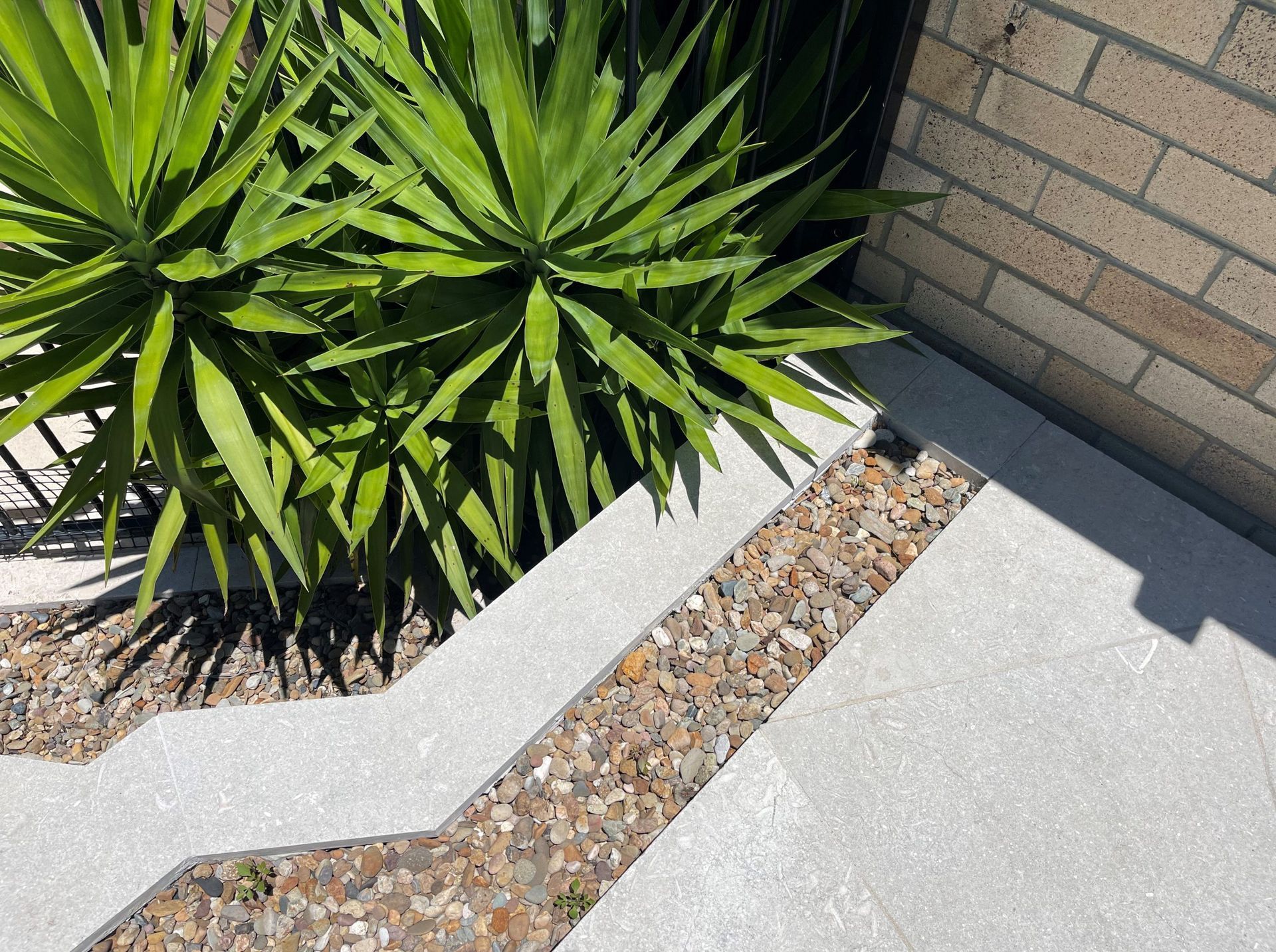 Spring Backyard Refresh