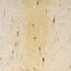Fire Bricks - Natural