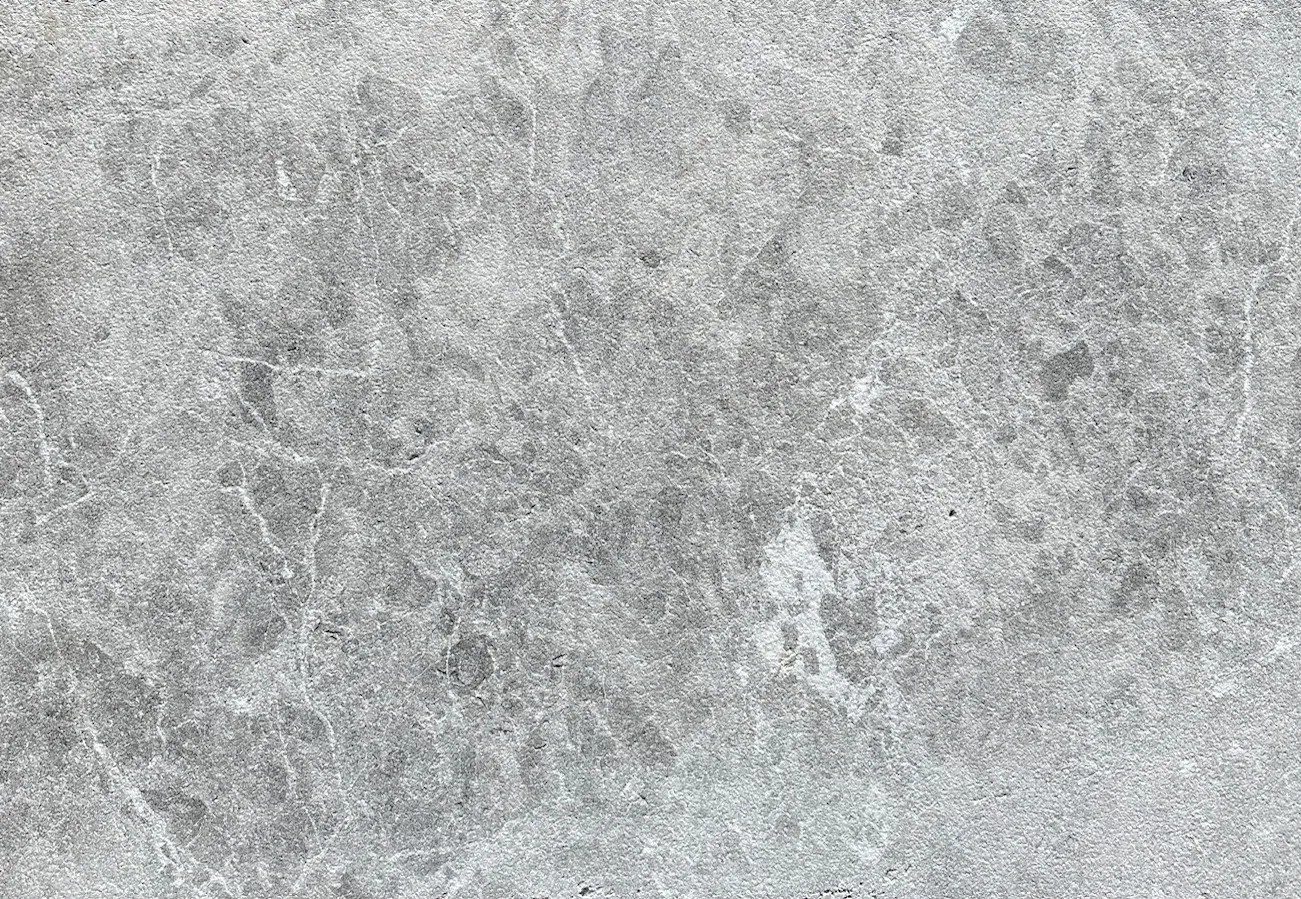 Cadet - Grey