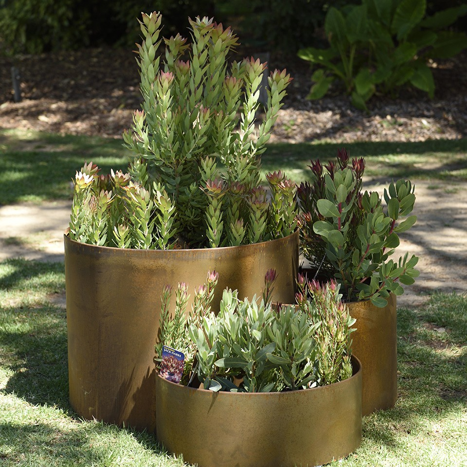 Garden Planters - Triple Tier Ring Planter