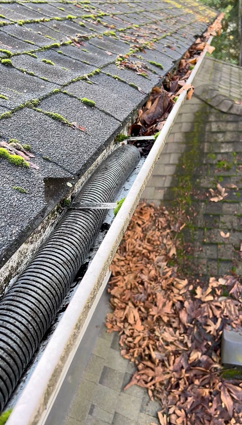Gutter Cleaning | Surrey, BC | Precision Gutters