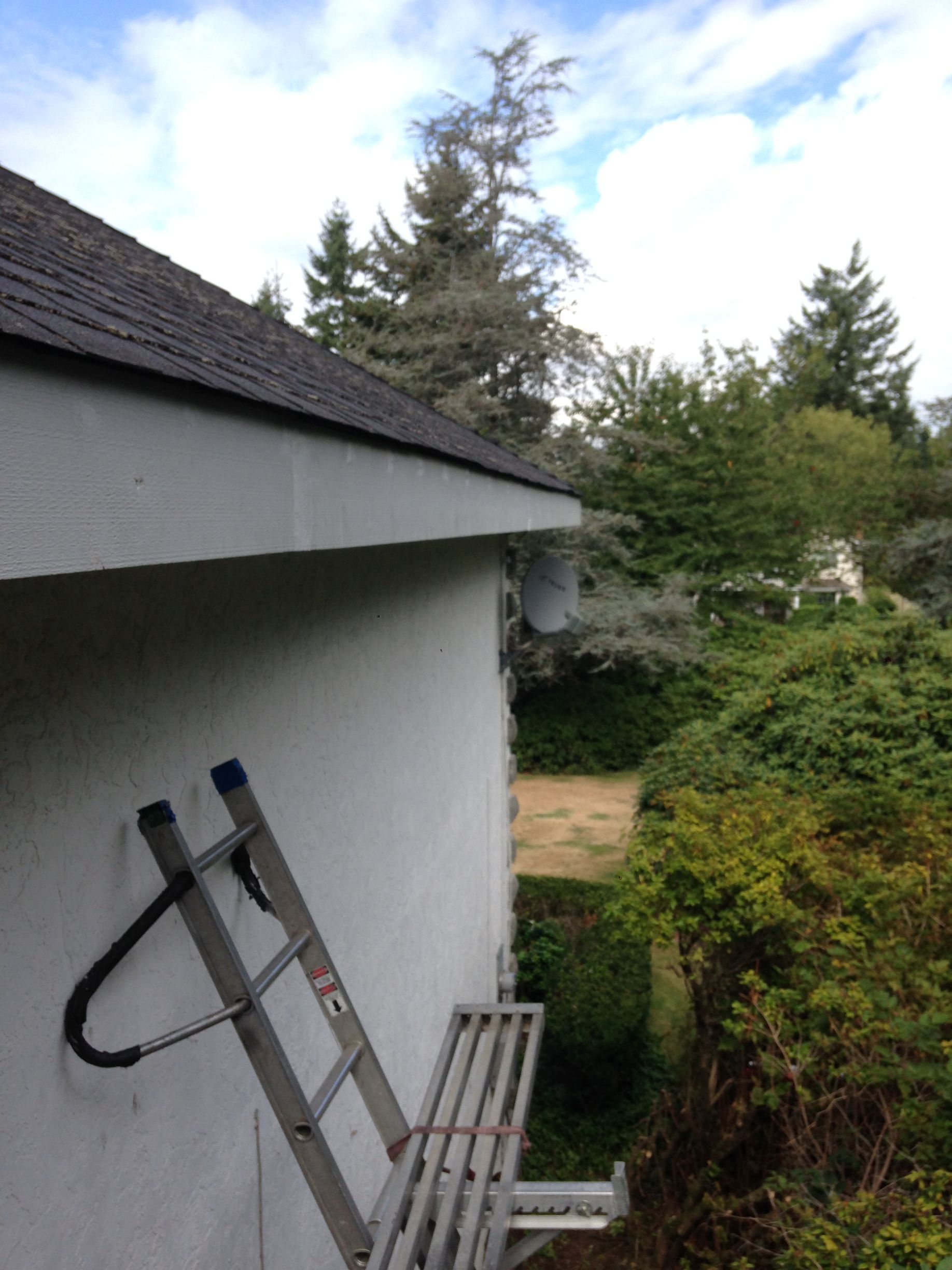 A ladder is attached to the side of a building