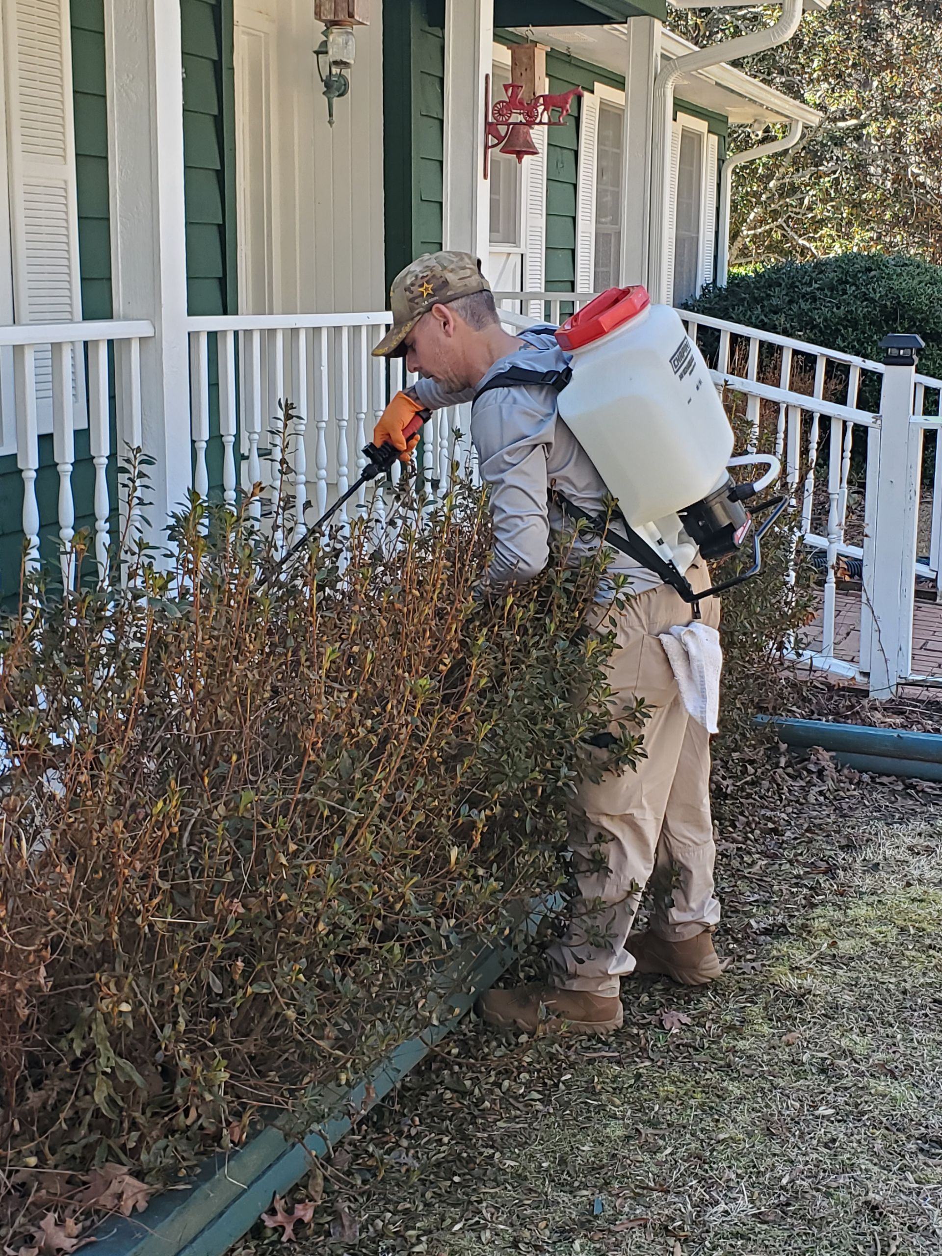 Person trimming hedges with a backpack leaf blower beside a house porch