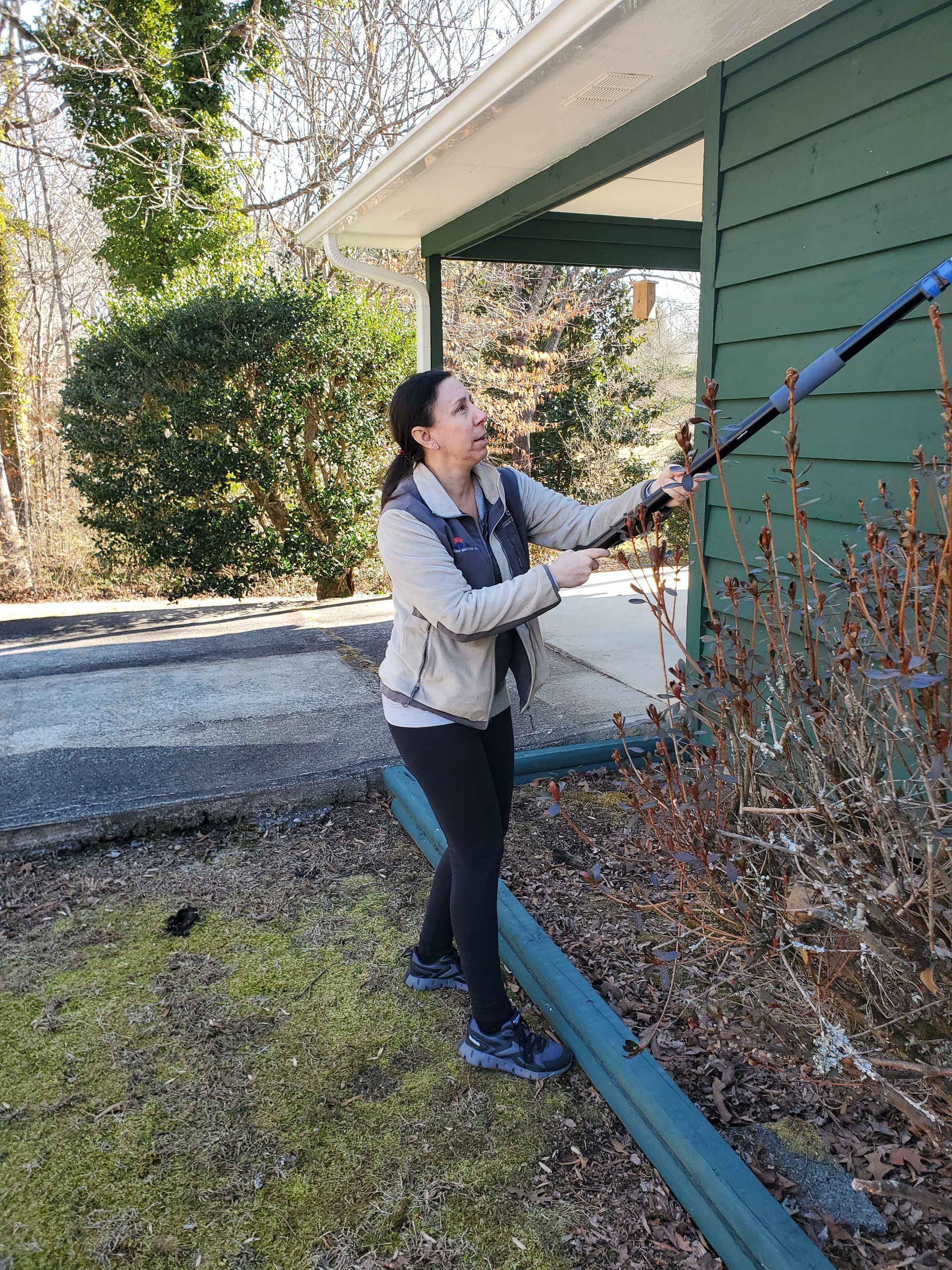 Person trimming shrubs beside a green house with pruning shears