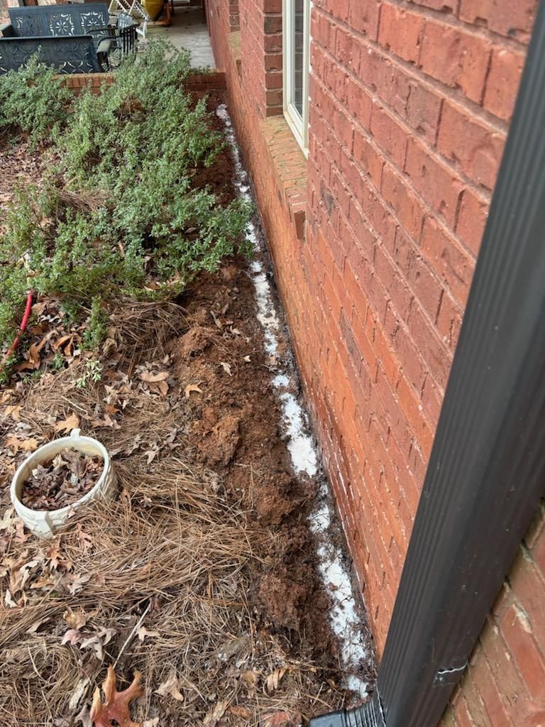 Narrow garden bed beside a brick house, with mulch, white residue along the foundation, and a shrub.