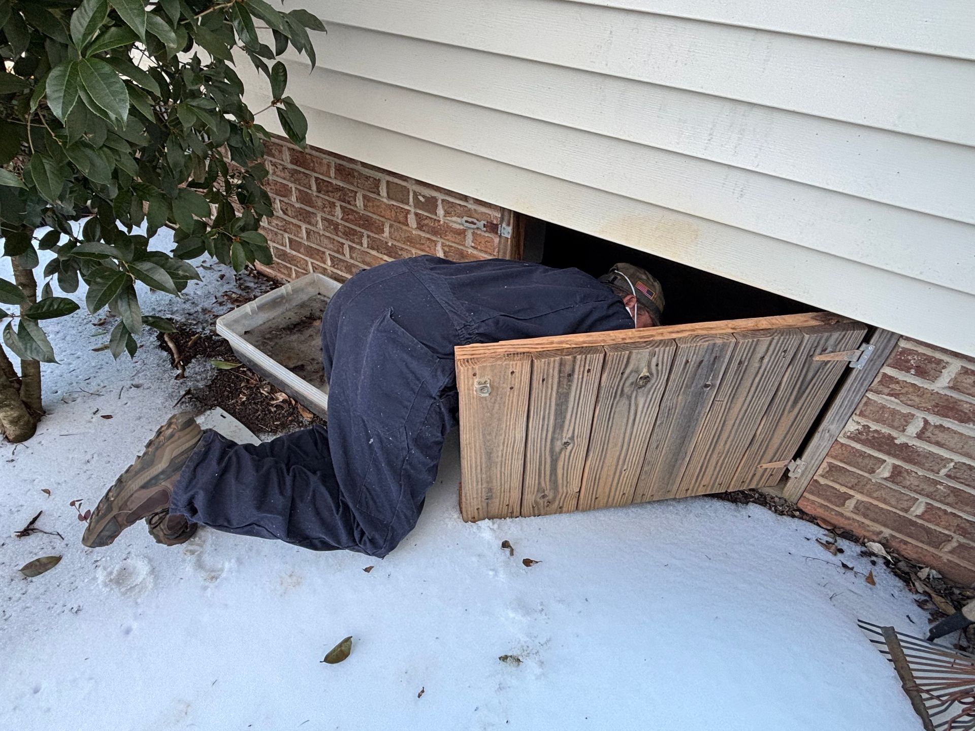 Person crawling into a basement opening beside a brick house, partially covered by a wooden hatch in snow