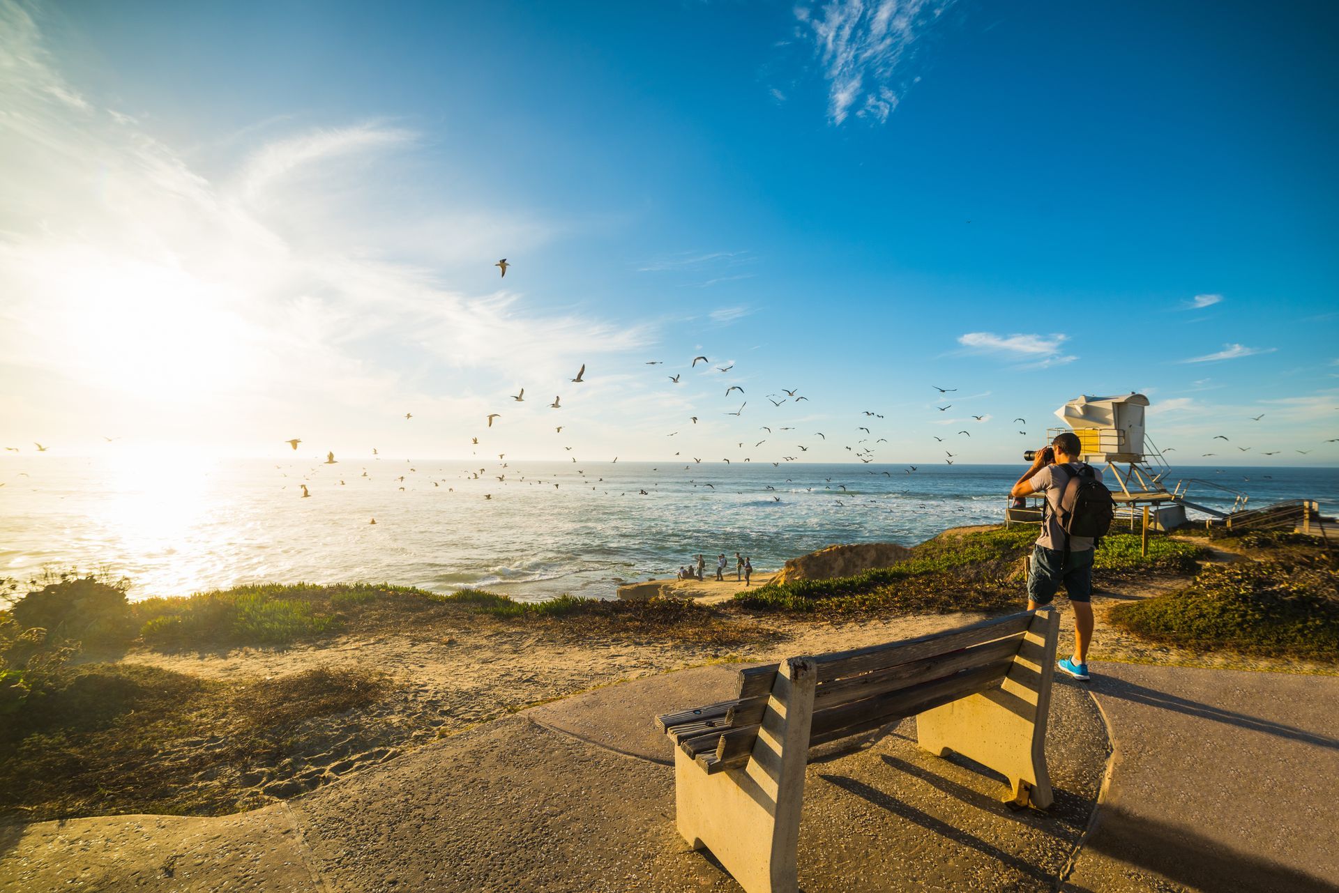 Person with camera on a sunny seaside lookout, watching birds over the ocean