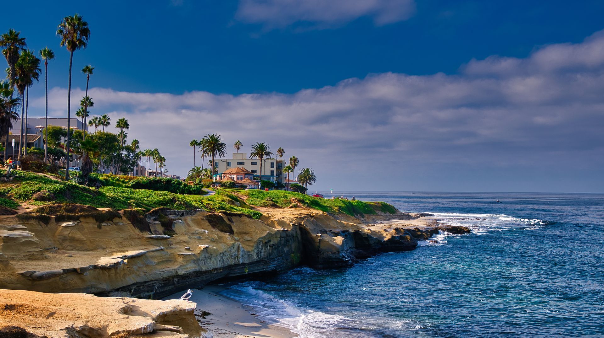 Rocky seaside cliffs with palm trees and houses under a blue sky beside the ocean Rocky seaside cliffs with palm trees and houses under a blue sky beside the ocean