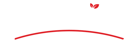 Bajoriškių actas
