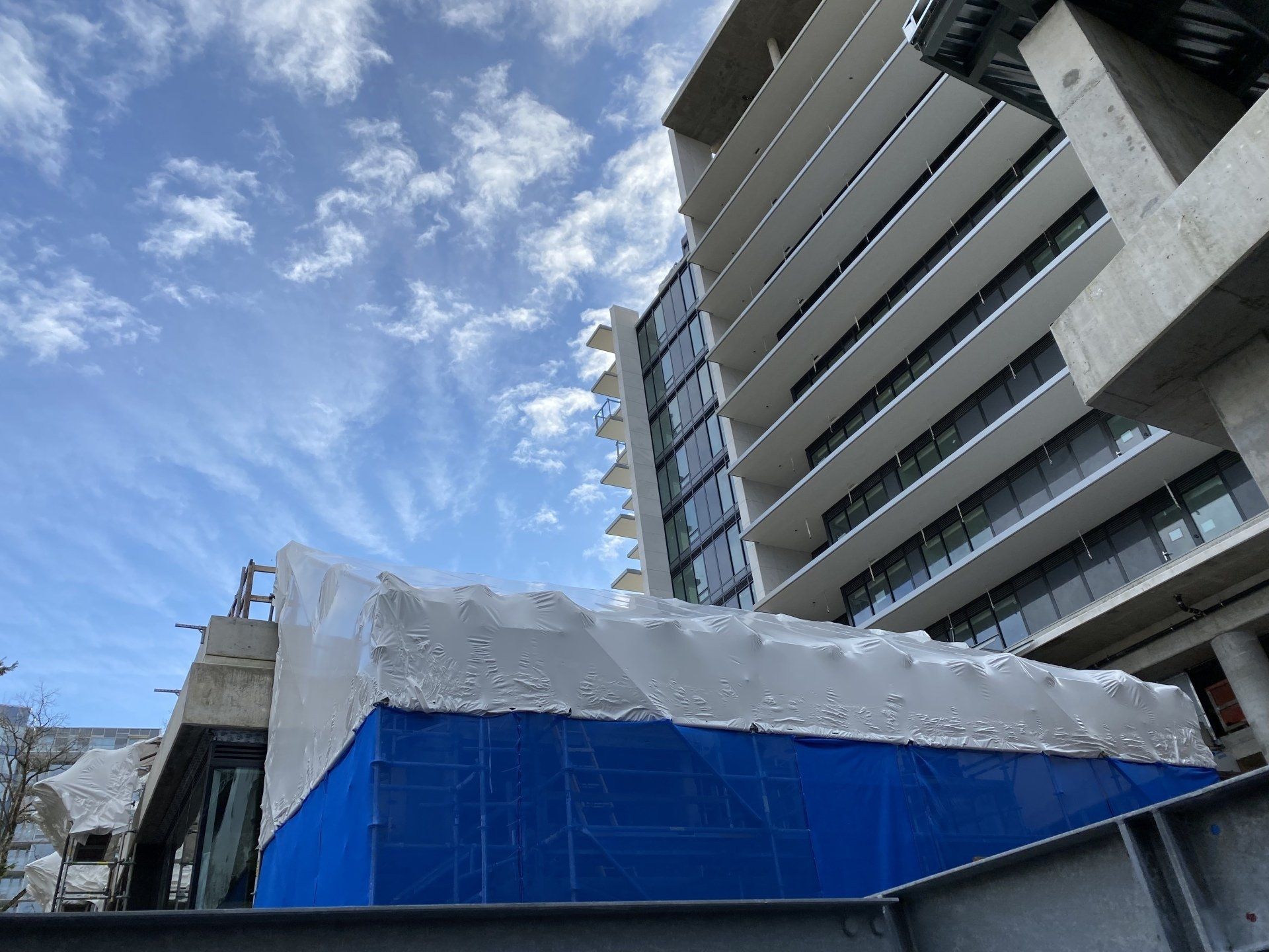 shrink wrap