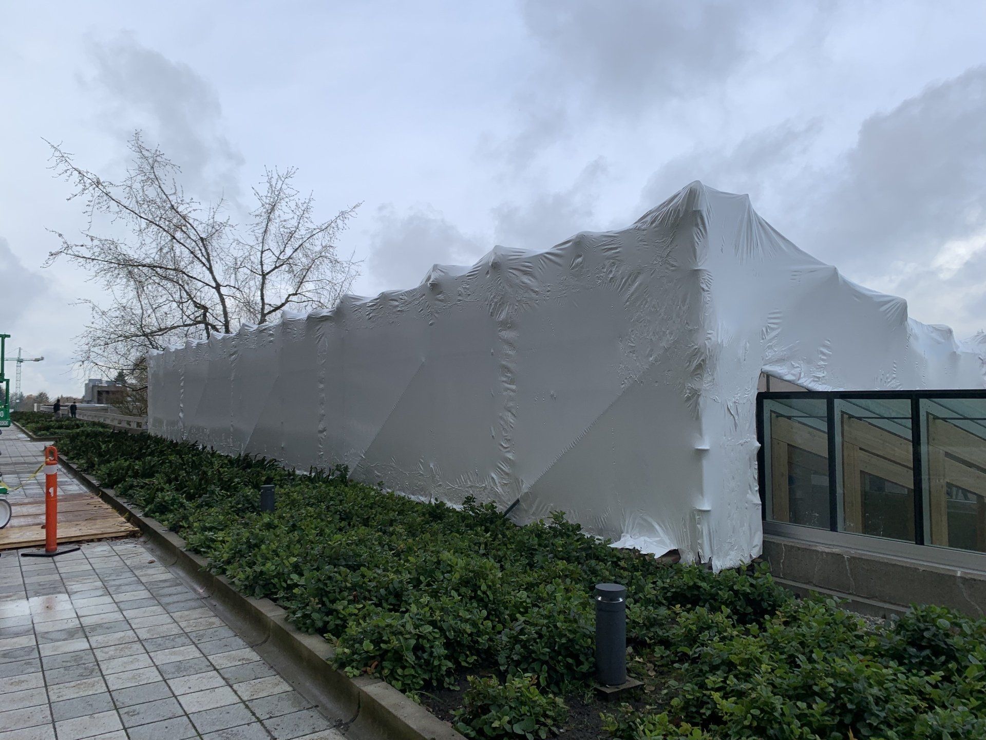 shrink wrap