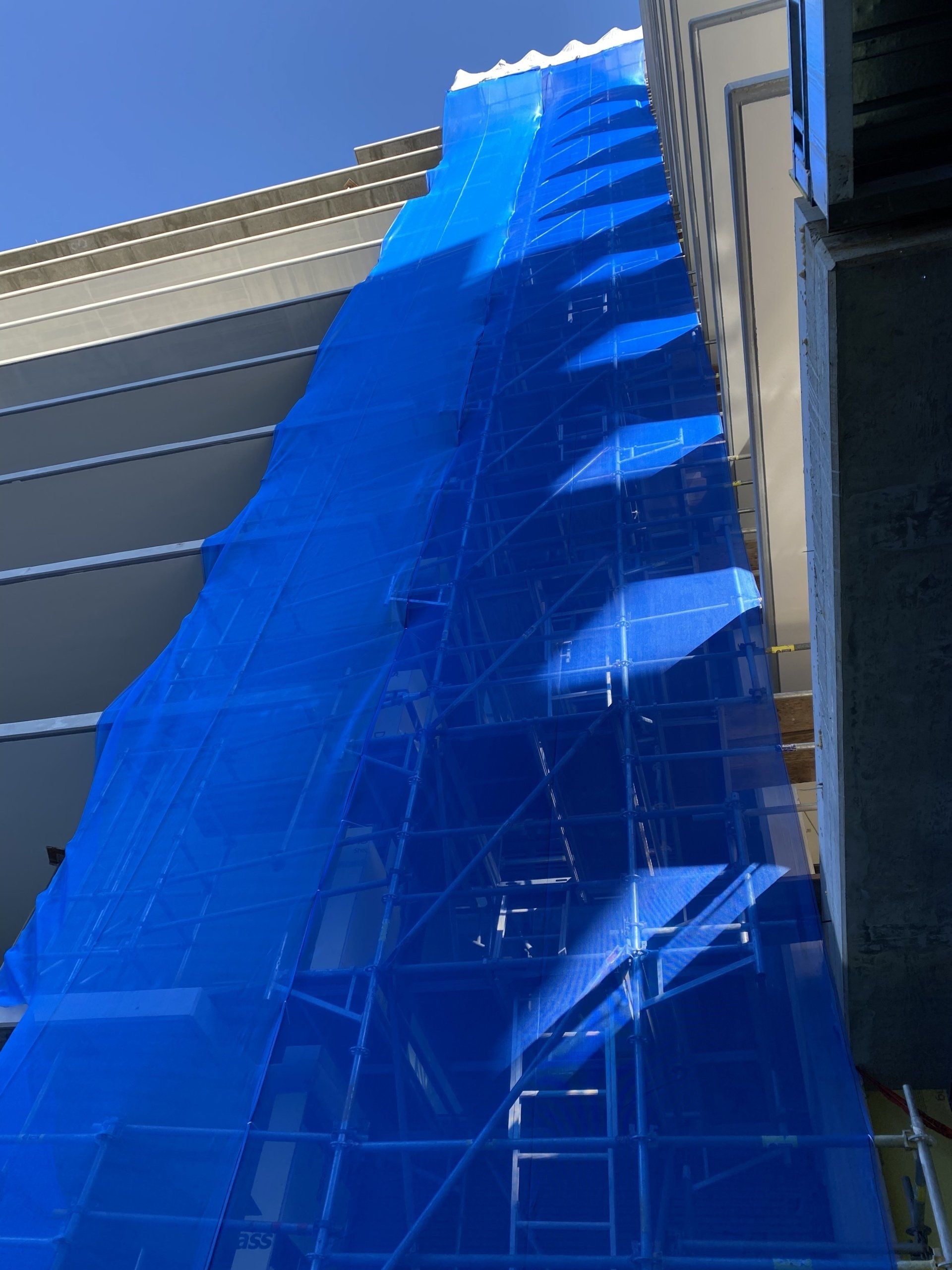 Scaffnetting